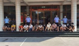 吴川学校爆料视频大全,揭秘校园风云录