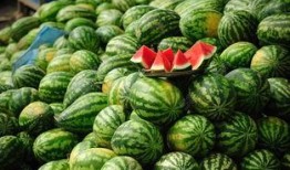 网红爆款吃瓜神器下载,一网打尽娱乐圈新鲜事！